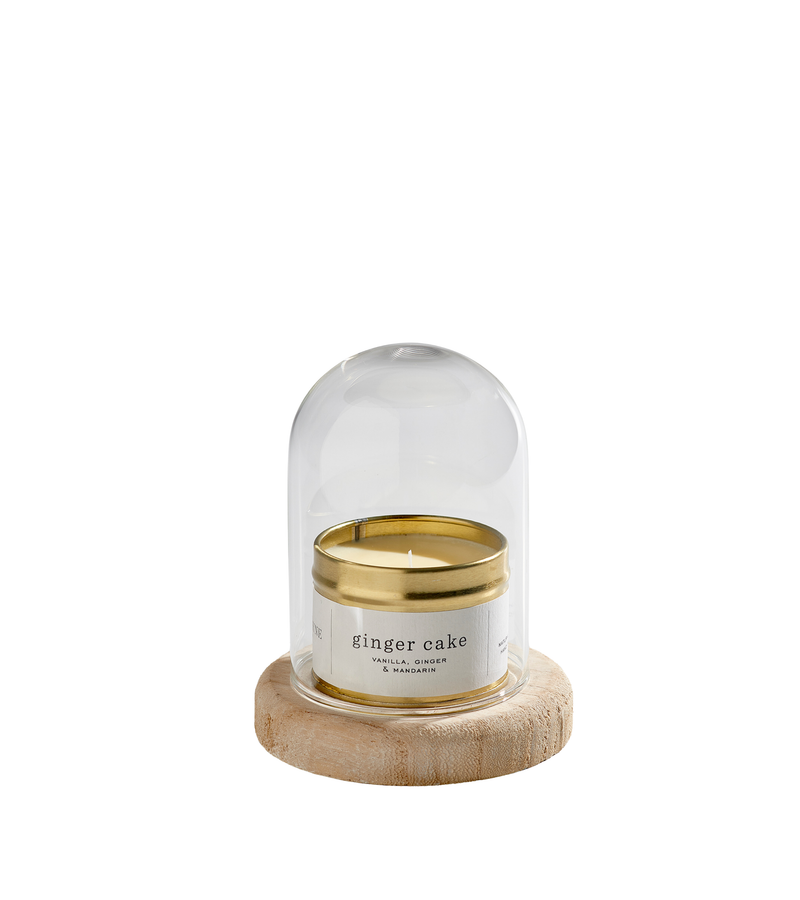 Aquarium Glass Dome (small)